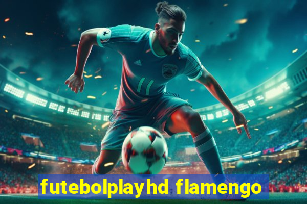 futebolplayhd flamengo